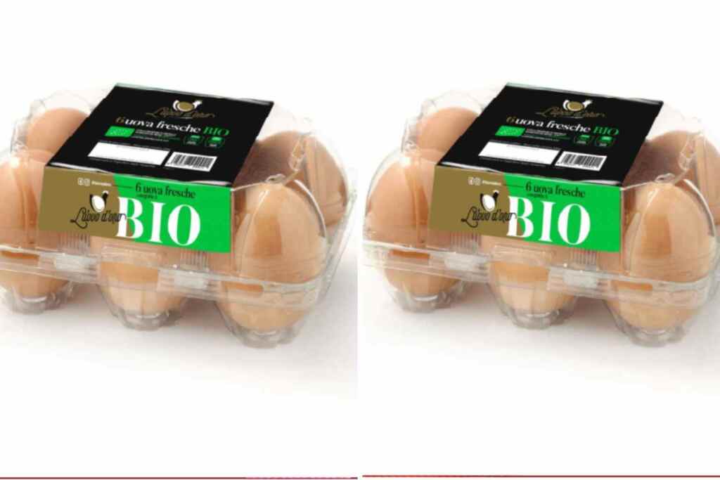 Queste uova bio sono state richiamate per Salmonella: la marca e il lotto a cui fare attenzione