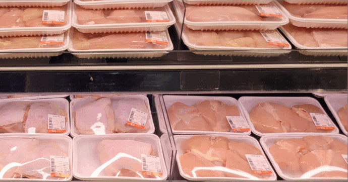 “Strisce bianche su più del 90% del pollo con i marchi Esselunga, Coop e Conad”. White striping, nuova indagine di Essere Animali dopo quella su Lidl