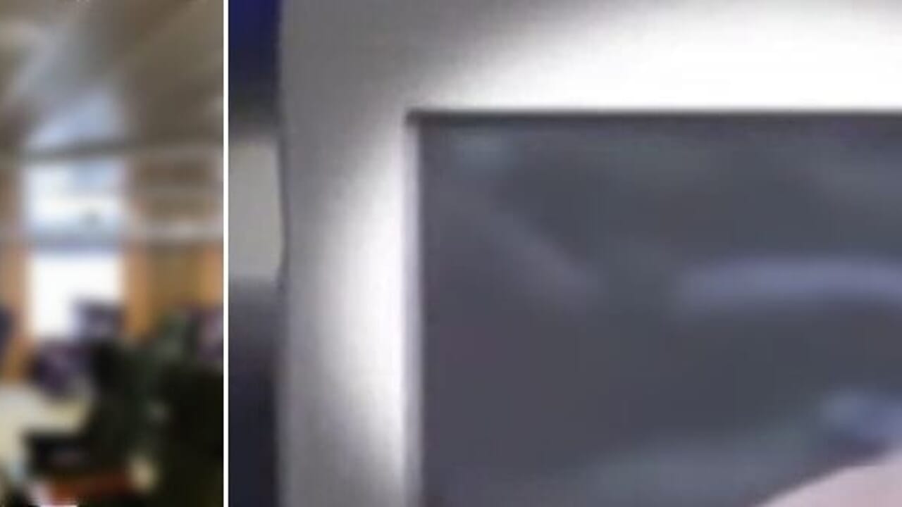 Dopo la F1 sul traghetto parte un video porno: "I bimbi sono usciti fuori urlando"