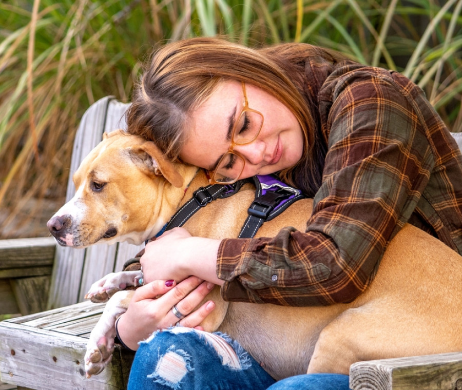 Il cane sente se siamo in pericolo? Ecco come fa