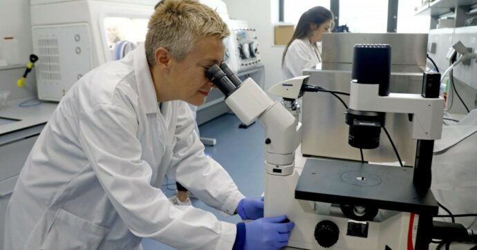 Il crollo della ricerca indipendente dall’industria farmaceutica, l’allarme degli oncologi: ‘Studi calati del 57% in 15 anni’