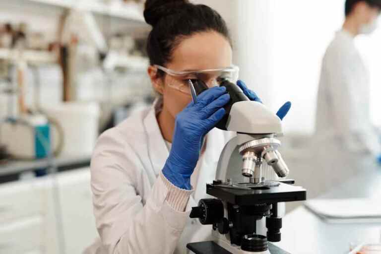 Alzheimer, nuova speranza: scienziati hanno trovato le cellule che possono “pulire” il cervello