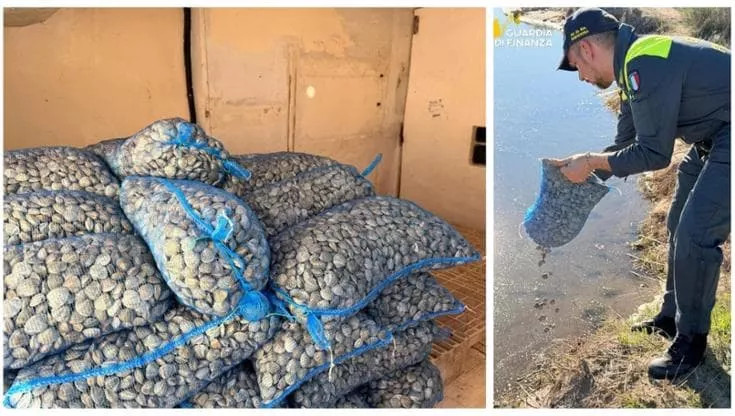 A Manfredonia maxisequestro di vongole pericolose per la salute: erano per le tavole delle feste