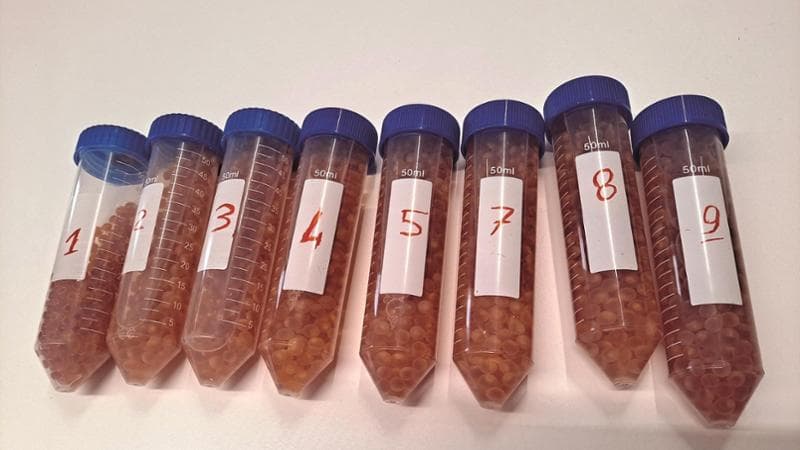 Rieducare i tumori per guarire dal cancro