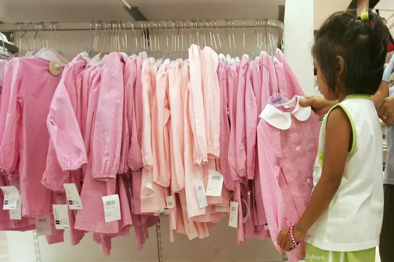 L'antifurto, il grembiule di scuola e gli antivirus entrano nel paniere Istat