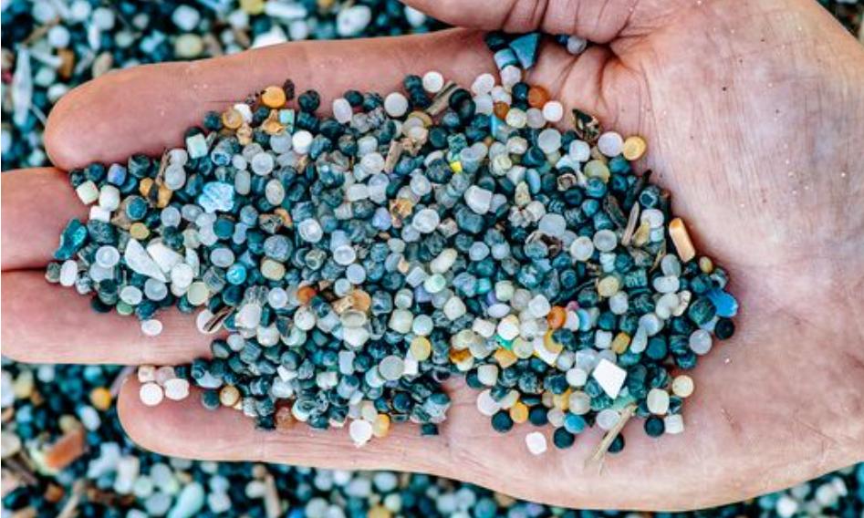 Come e quanto si accumulano le microplastiche nel Mare Nostro?
