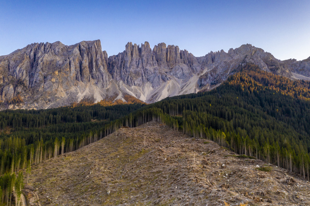 Ti ricordi "montagne verdi"? Il cambiamento climatico sta per stravolgere le nostre foreste