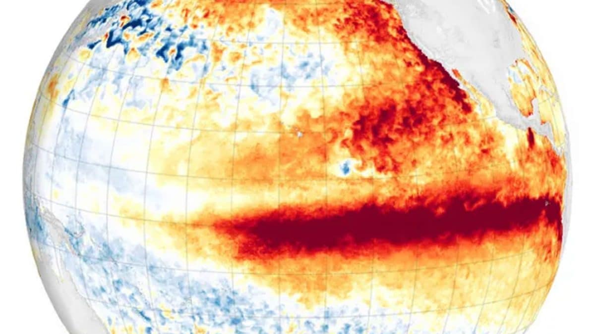 El Niño “super” nel 2026, la NOAA frena: alta probabilità del fenomeno ma intensità ancora incerta